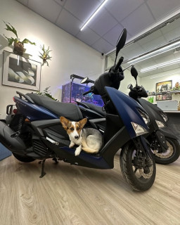 台中機車借款-花旗當鋪,台中北屯當舖推薦,台中南屯機車借款免留車,台中東區合法當舖,台中北區分期車借款,台中西屯機車借錢PTT,北屯機車借款,南屯機車借款推薦,潭子當舖免留車,台中當舖推薦,北區機車借款利息,太平機車借款額度,南屯老舊機車借錢,北屯Gogoro借款,北區重機借款,東區當日撥款,北屯免保人機車借款,南屯小額周轉,北屯當舖倉棧費,台中機車借款首選花旗當鋪28