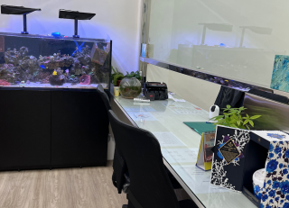 台中東區當鋪借款-花旗當鋪-台中東區當鋪汽車借款,台中東區當鋪機車借款,台中東區當鋪推薦,台中東區當鋪借錢,台中東區當鋪黃金借款,台中東區當鋪名錶借款,台中東區當鋪珠寶借款,台中東區當鋪手機借款,台中東區當鋪典當,台中東區當鋪首選花旗當鋪34